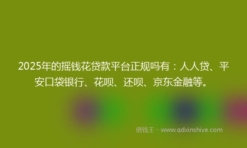 2025年的摇钱花贷款平台正规吗有：人人贷、平安口袋银行、花呗、还呗、京东金融等。