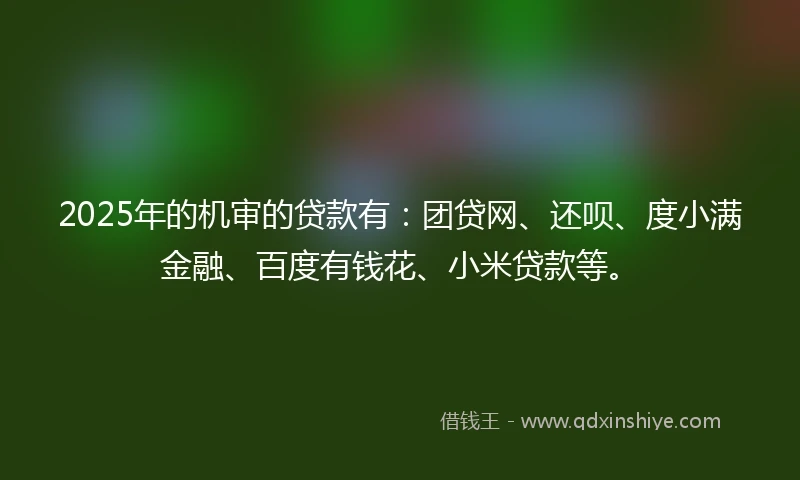 2025年的机审的贷款有：团贷网、还呗、度小满金融、百度有钱花、小米贷款等。