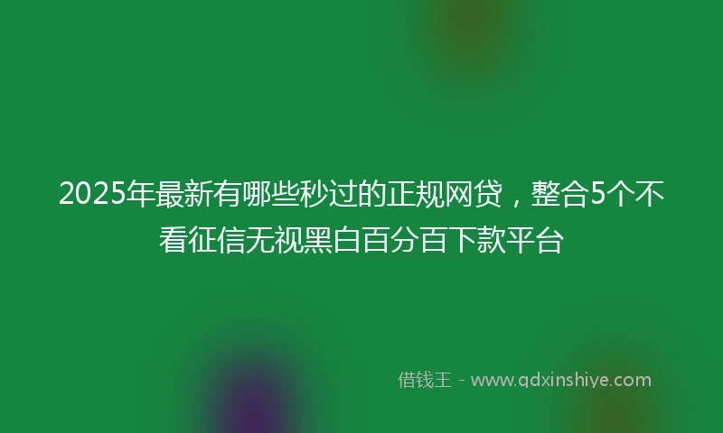 2025年最新有哪些秒过的正规网贷，整合5个不看征信无视黑白百分百下款平台