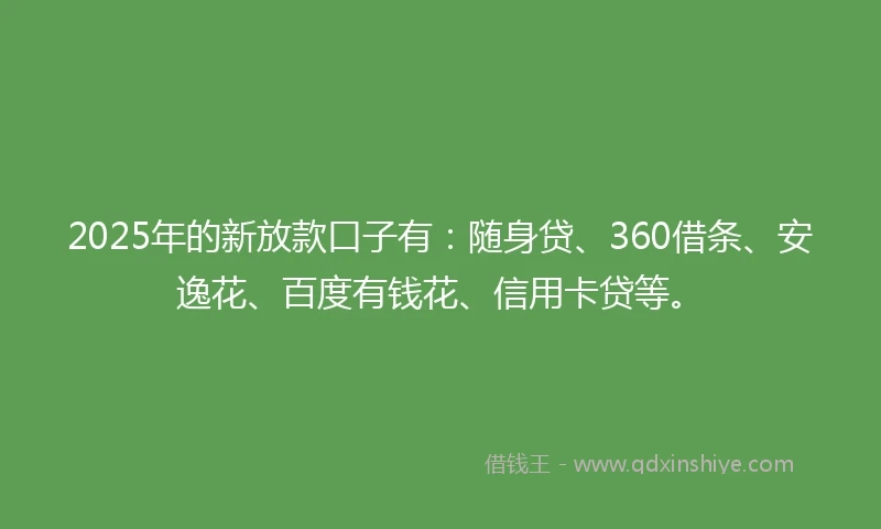 2025年的新放款口子有：随身贷、360借条、安逸花、百度有钱花、信用卡贷等。
