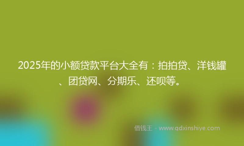 2025年的小额贷款平台大全有:拍拍贷、洋钱罐、团贷网、分期乐、还呗等。