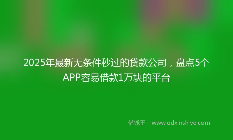 2025年最新无条件秒过的贷款公司，盘点5个APP容易借款1万块的平台