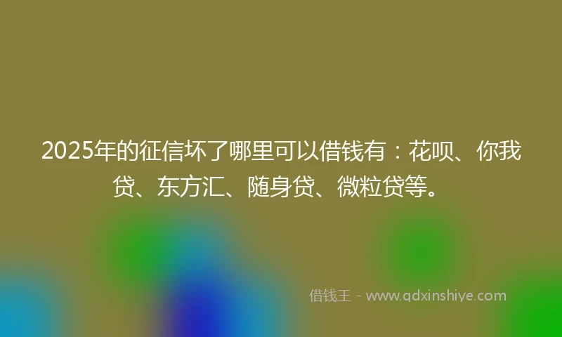 2025年的征信坏了哪里可以借钱有：花呗、你我贷、东方汇、随身贷、微粒贷等。