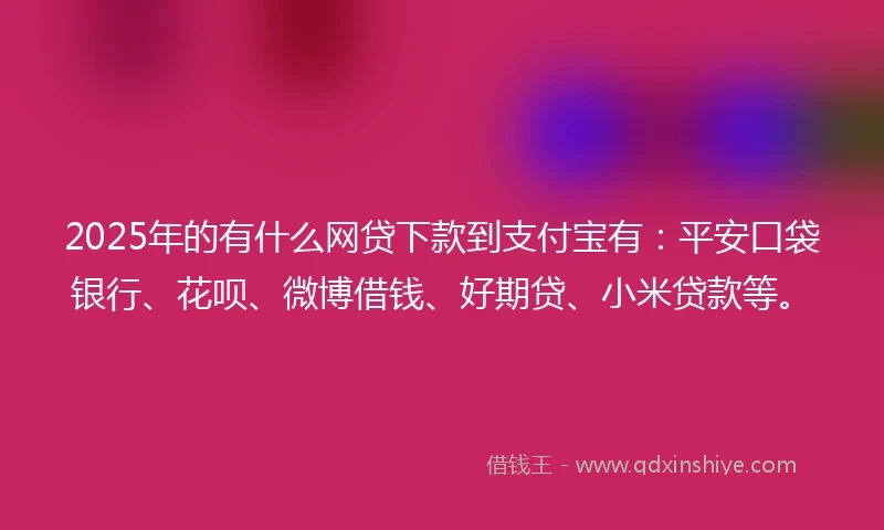2025年的有什么网贷下款到支付宝有：平安口袋银行、花呗、微博借钱、好期贷、小米贷款等。