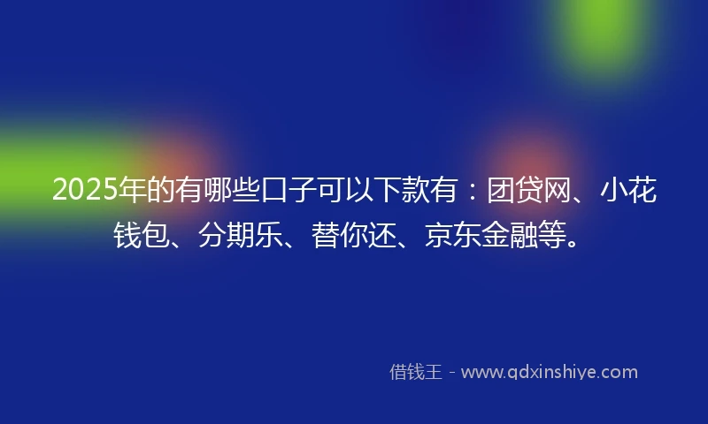 2025年的有哪些口子可以下款有：团贷网、小花钱包、分期乐、替你还、京东金融等。