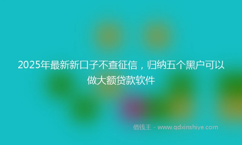 2025年最新新口子不查征信，归纳五个黑户可以做大额贷款软件