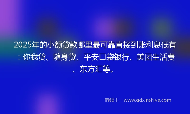 2025年的小额贷款哪里最可靠直接到账利息低有：你我贷、随身贷、平安口袋银行、美团生活费、东方汇等。