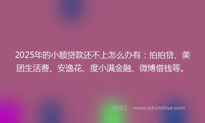 2025年的小额贷款还不上怎么办有：拍拍贷、美团生活费、安逸花、度小满金融、微博借钱等。
