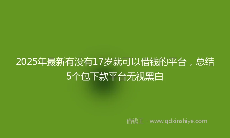2025年最新有没有17岁就可以借钱的平台，总结5个包下款平台无视黑白