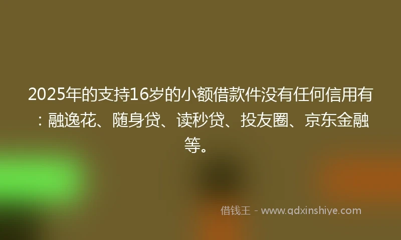 2025年的支持16岁的小额借款件没有任何信用有：融逸花、随身贷、读秒贷、投友圈、京东金融等。