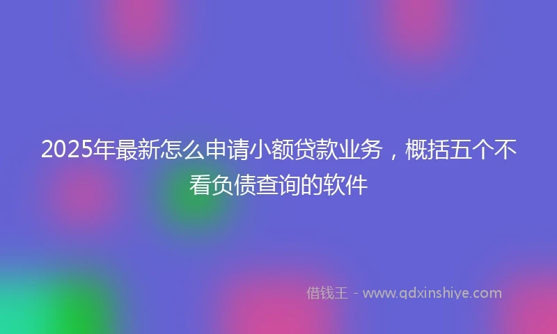 2025年最新怎么申请小额贷款业务，概括五个不看负债查询的软件