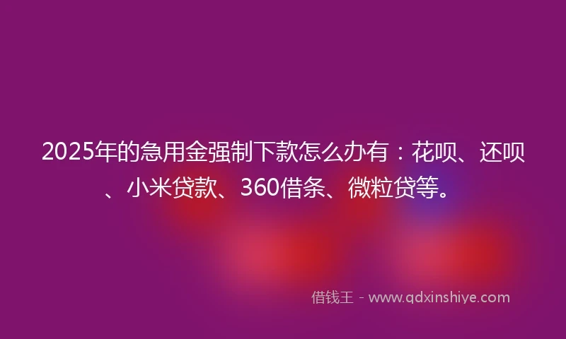 2025年的急用金强制下款怎么办有：花呗、还呗、小米贷款、360借条、微粒贷等。