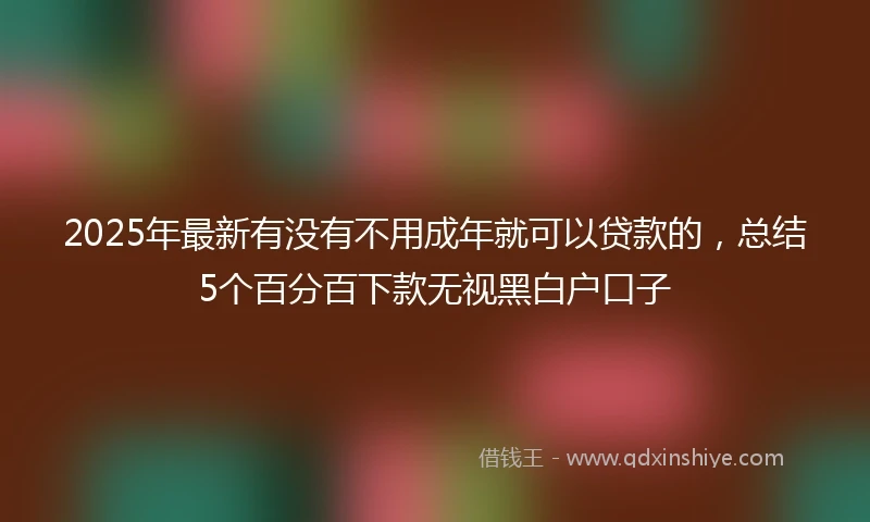 2025年最新有没有不用成年就可以贷款的，总结5个百分百下款无视黑白户口子