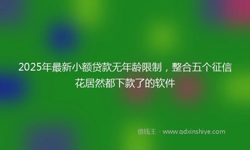 2025年最新小额贷款无年龄限制，整合五个征信花居然都下款了的软件