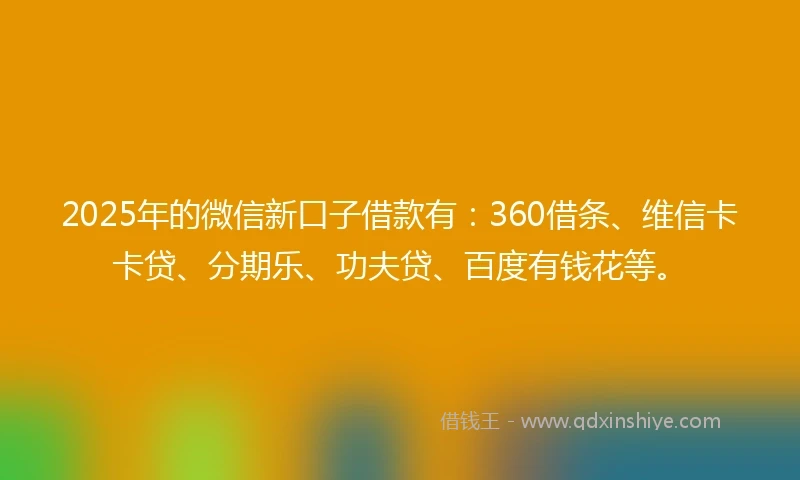 2025年的微信新口子借款有：360借条、维信卡卡贷、分期乐、功夫贷、百度有钱花等。