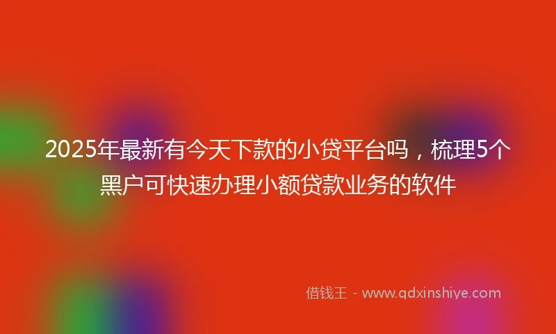 2025年最新有今天下款的小贷平台吗，梳理5个黑户可快速办理小额贷款业务的软件