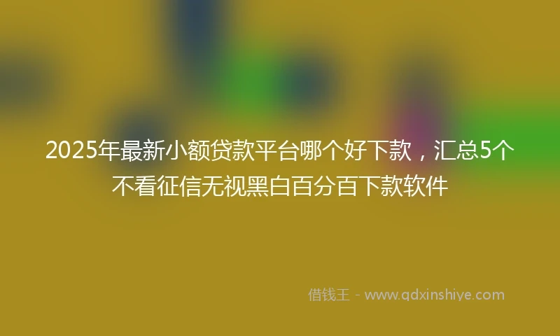 2025年最新小额贷款平台哪个好下款，汇总5个不看征信无视黑白百分百下款软件