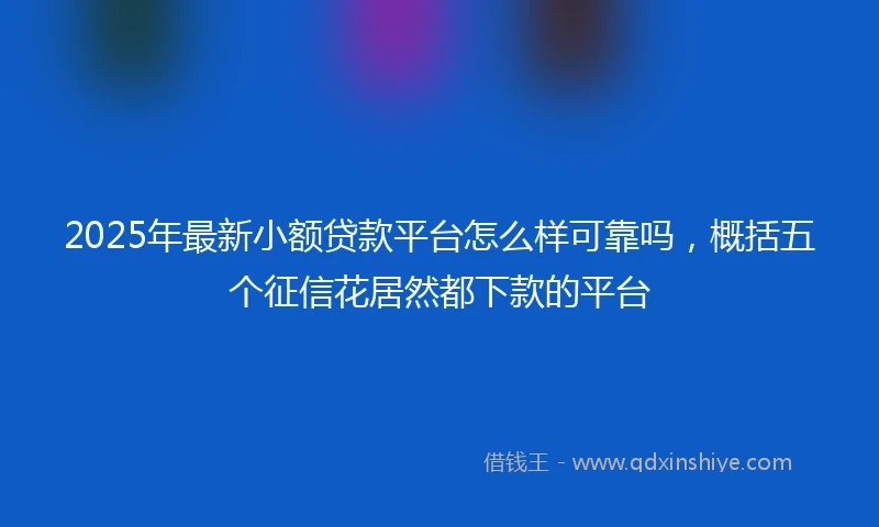 2025年最新小额贷款平台怎么样可靠吗，概括五个征信花居然都下款的平台