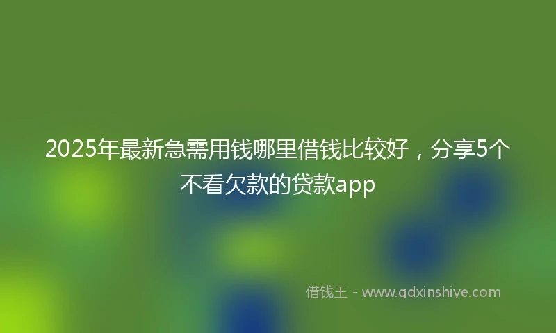 2025年最新急需用钱哪里借钱比较好，分享5个不看欠款的贷款app