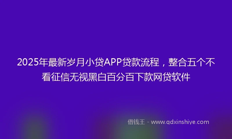 2025年最新岁月小贷APP贷款流程，整合五个不看征信无视黑白百分百下款网贷软件