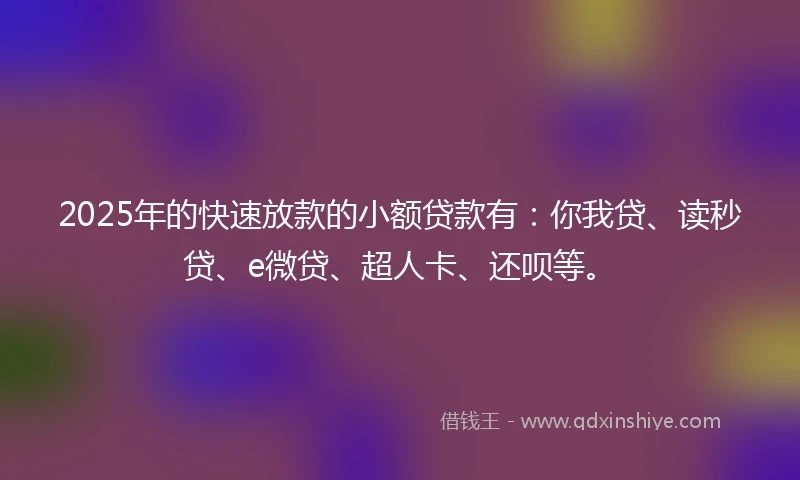 2025年的快速放款的小额贷款有：你我贷、读秒贷、e微贷、超人卡、还呗等。