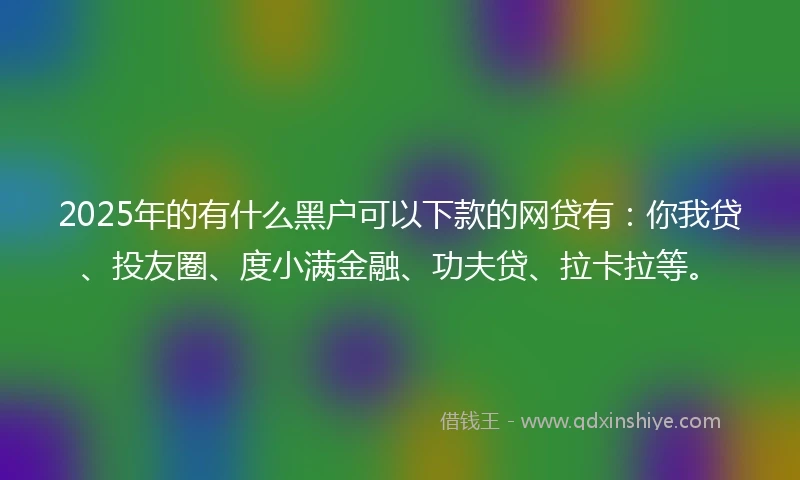2025年的有什么黑户可以下款的网贷有：你我贷、投友圈、度小满金融、功夫贷、拉卡拉等。