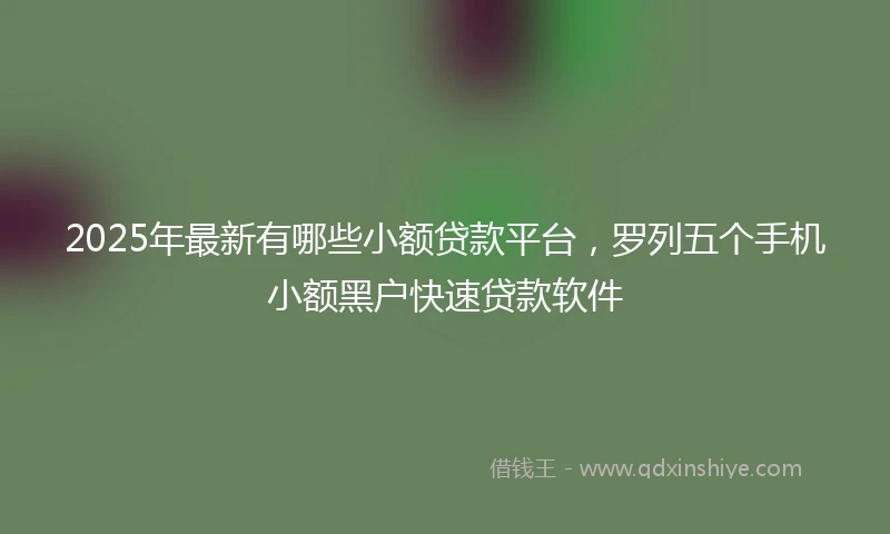 2025年最新有哪些小额贷款平台，罗列五个手机小额黑户快速贷款软件