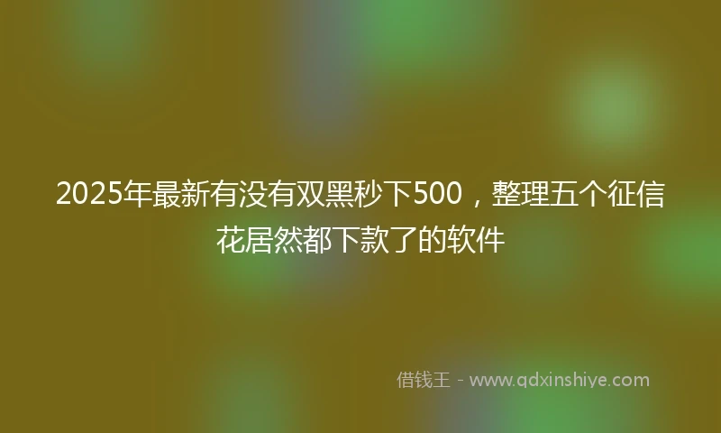 2025年最新有没有双黑秒下500，整理五个征信花居然都下款了的软件