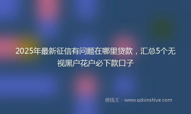 2025年最新征信有问题在哪里贷款,汇总5个无视黑户花户必下款口子