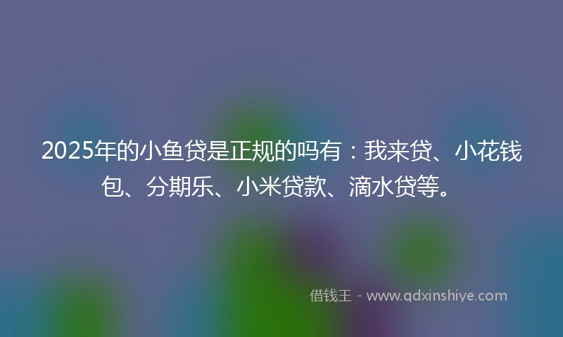 2025年的小鱼贷是正规的吗有：我来贷、小花钱包、分期乐、小米贷款、滴水贷等。