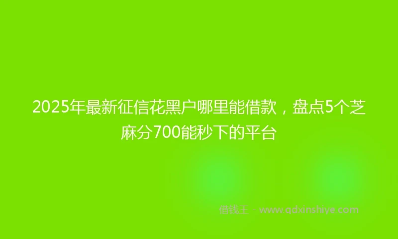 2025年最新征信花黑户哪里能借款，盘点5个芝麻分700能秒下的平台
