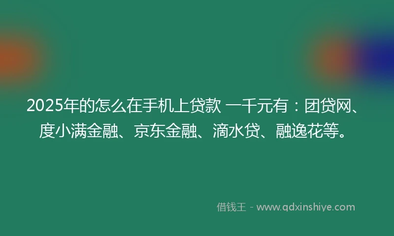 2025年的怎么在手机上贷款 一千元有：团贷网、度小满金融、京东金融、滴水贷、融逸花等。