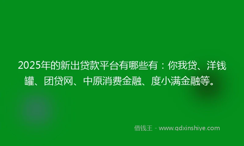 2025年的新出贷款平台有哪些有：你我贷、洋钱罐、团贷网、中原消费金融、度小满金融等。