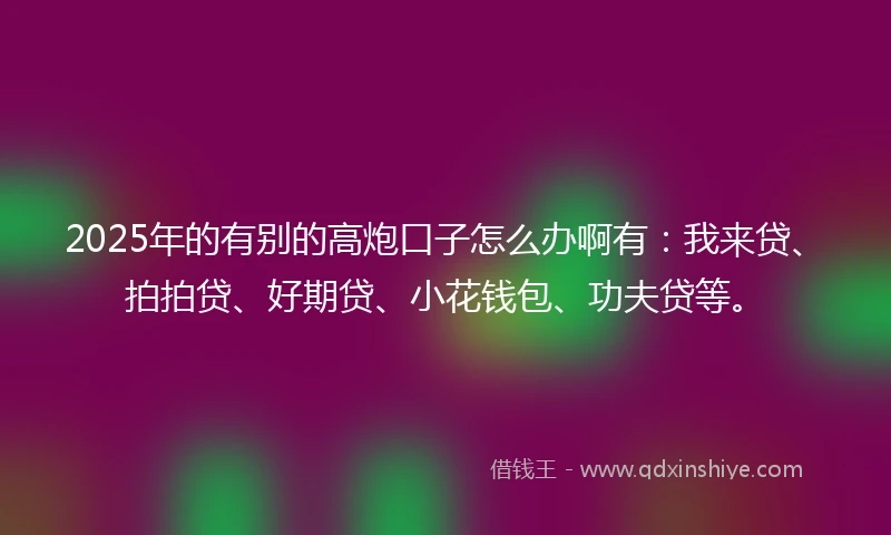 2025年的有别的高炮口子怎么办啊有：我来贷、拍拍贷、好期贷、小花钱包、功夫贷等。