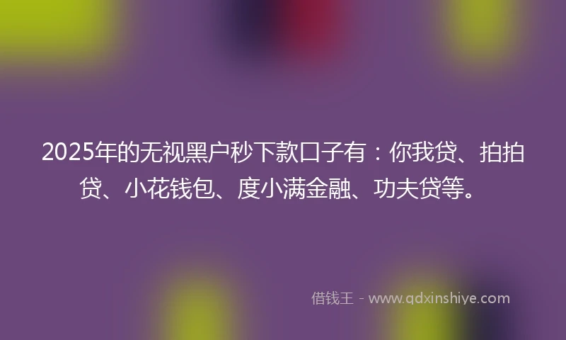 2025年的无视黑户秒下款口子有：你我贷、拍拍贷、小花钱包、度小满金融、功夫贷等。