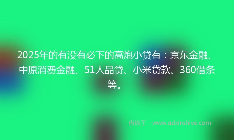 2025年的有没有必下的高炮小贷有：京东金融、中原消费金融、51人品贷、小米贷款、360借条等。