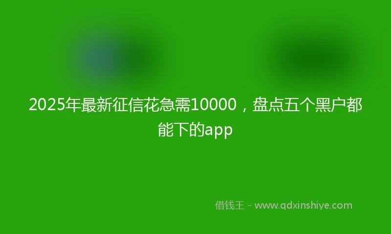 2025年最新征信花急需10000，盘点五个黑户都能下的app
