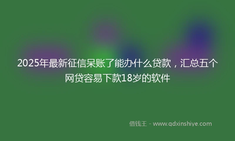 2025年最新征信呆账了能办什么贷款，汇总五个网贷容易下款18岁的软件