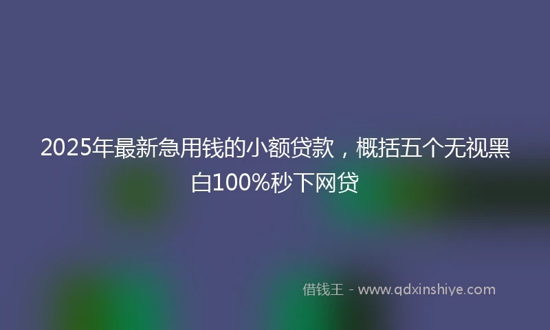 2025年最新急用钱的小额贷款，概括五个无视黑白100%秒下网贷