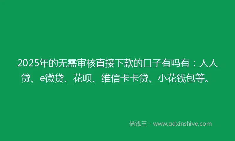 2025年的无需审核直接下款的口子有吗有：人人贷、e微贷、花呗、维信卡卡贷、小花钱包等。