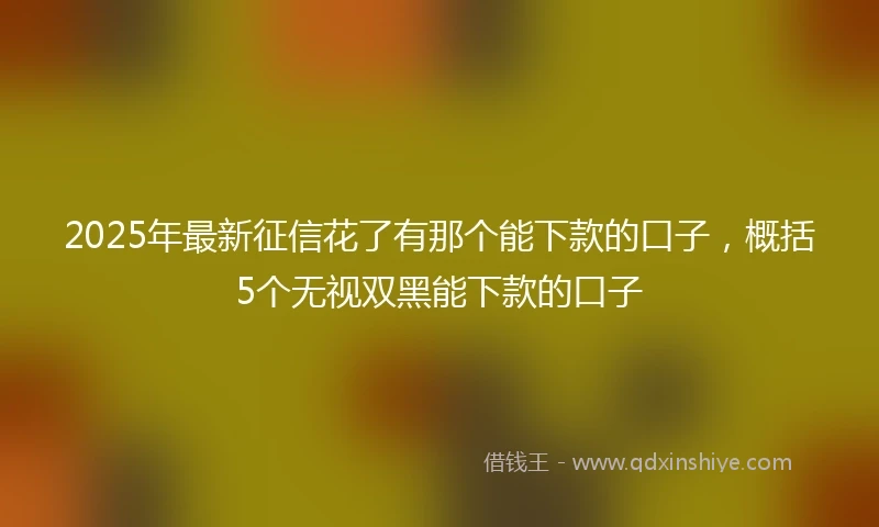 2025年最新征信花了有那个能下款的口子，概括5个无视双黑能下款的口子