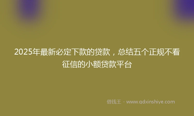 2025年最新必定下款的贷款，总结五个正规不看征信的小额贷款平台