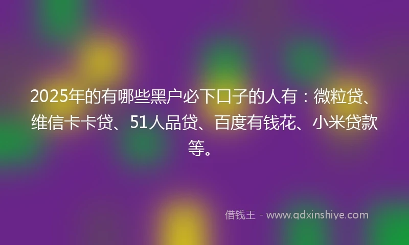 2025年的有哪些黑户必下口子的人有：微粒贷、维信卡卡贷、51人品贷、百度有钱花、小米贷款等。