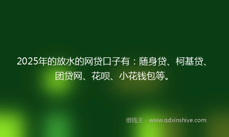 2025年的放水的网贷口子有：随身贷、柯基贷、团贷网、花呗、小花钱包等。