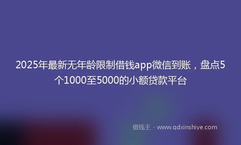 2025年最新无年龄限制借钱app微信到账，盘点5个1000至5000的小额贷款平台