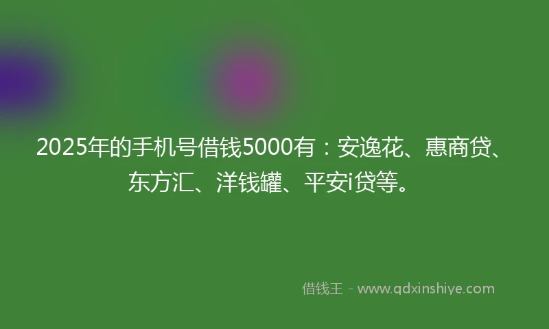 2025年的手机号借钱5000有：安逸花、惠商贷、东方汇、洋钱罐、平安i贷等。