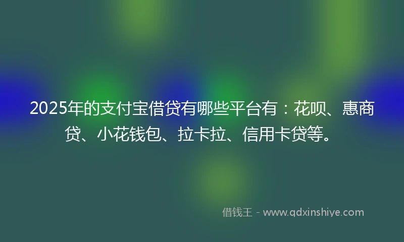 2025年的支付宝借贷有哪些平台有：花呗、惠商贷、小花钱包、拉卡拉、信用卡贷等。