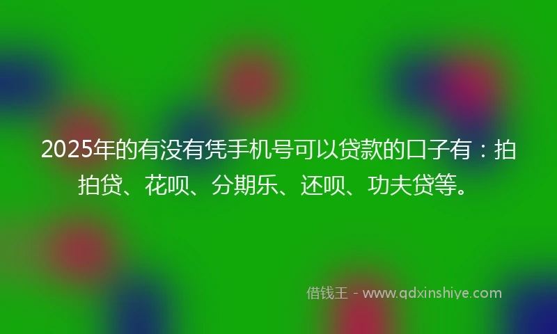 2025年的有没有凭手机号可以贷款的口子有：拍拍贷、花呗、分期乐、还呗、功夫贷等。