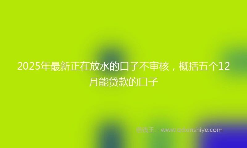 2025年最新正在放水的口子不审核，概括五个12月能贷款的口子