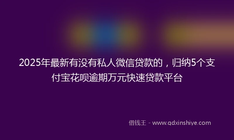 2025年最新有没有私人微信贷款的,归纳5个支付宝花呗逾期万元快速贷款平台